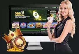 pg bet 44